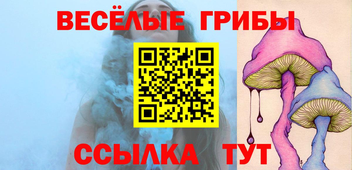 Галлюциногенные грибы Psilocybine cubensis  продажа наркотиков  Можга  Вход с VPN  Галлюциногенные грибы мицелий 